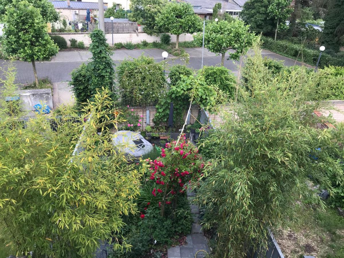 Apartment Mit Dachloggia 萨尔路易斯 外观 照片