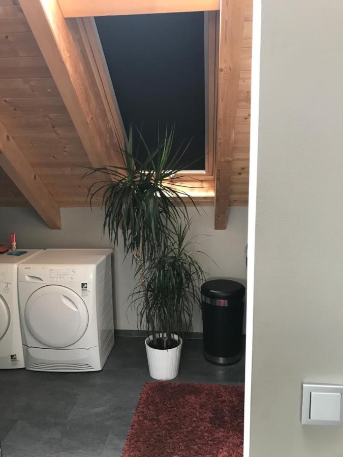 Apartment Mit Dachloggia 萨尔路易斯 外观 照片